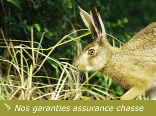 garanties assurance chasse